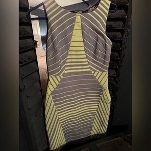 Eva Franco Neon and Gray Dress